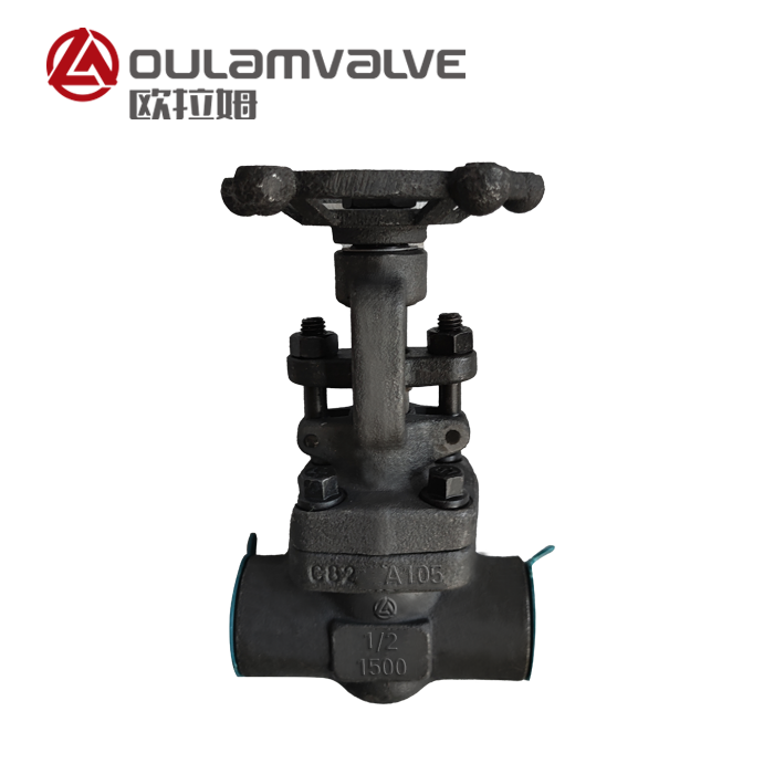 Z61Y高壓閘閥   加氫反應(yīng)器 