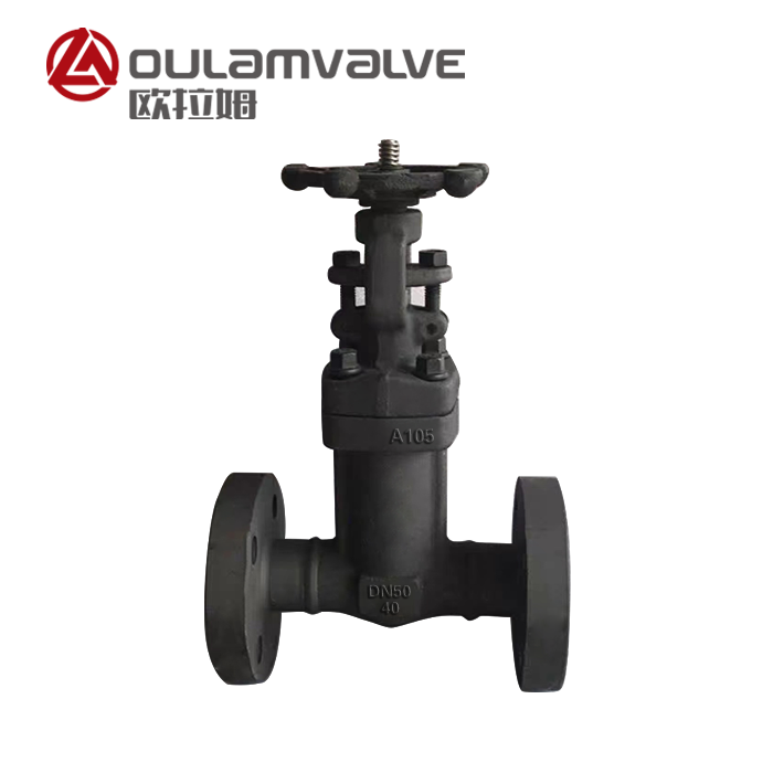  國(guó)標(biāo)波紋管閘閥 WZ41H 鍋爐